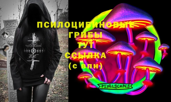 стафф Бронницы