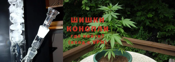 гидра Бугульма