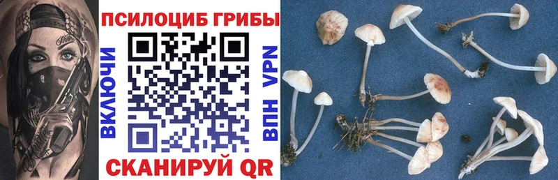 Галлюциногенные грибы Magic Shrooms  Астрахань 